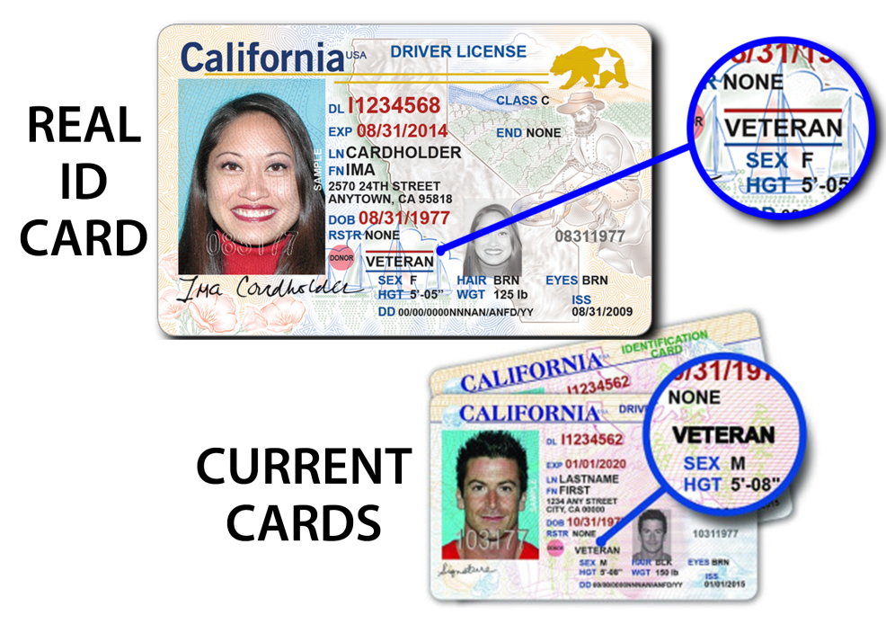License ended. Driver License Florida 2020. Номер Driver License. California Driver License. ID number Driver License.