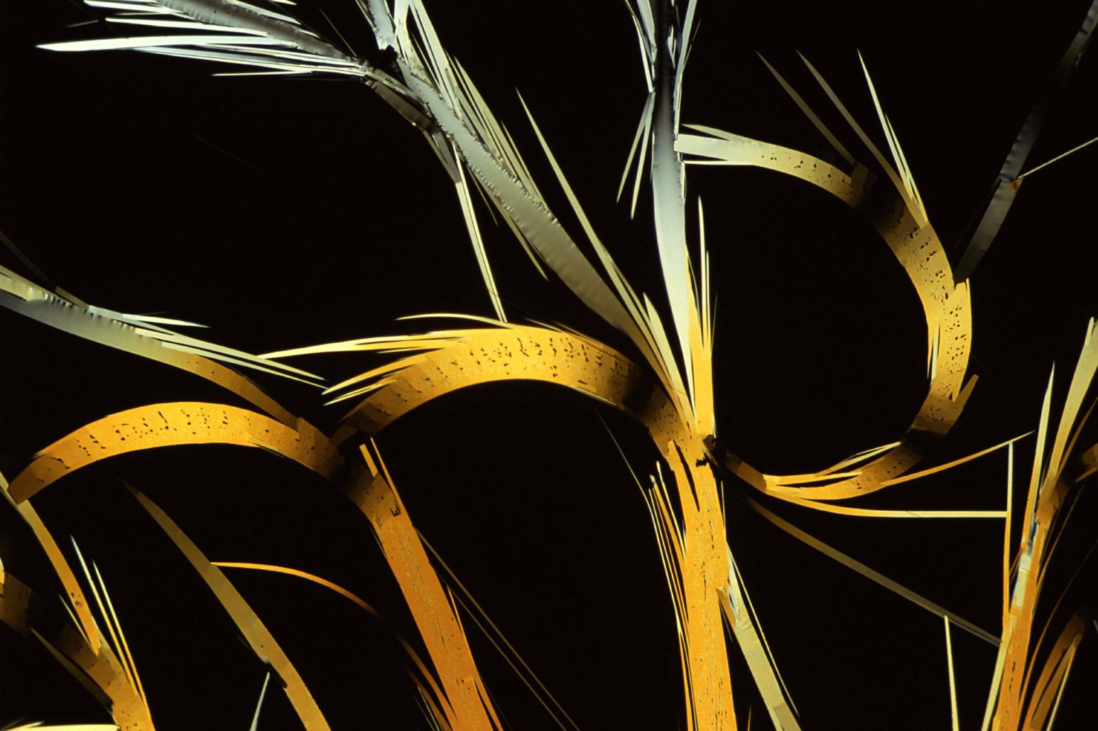 Ed Gafford's microscopic photo of re-crystalized sulfur.