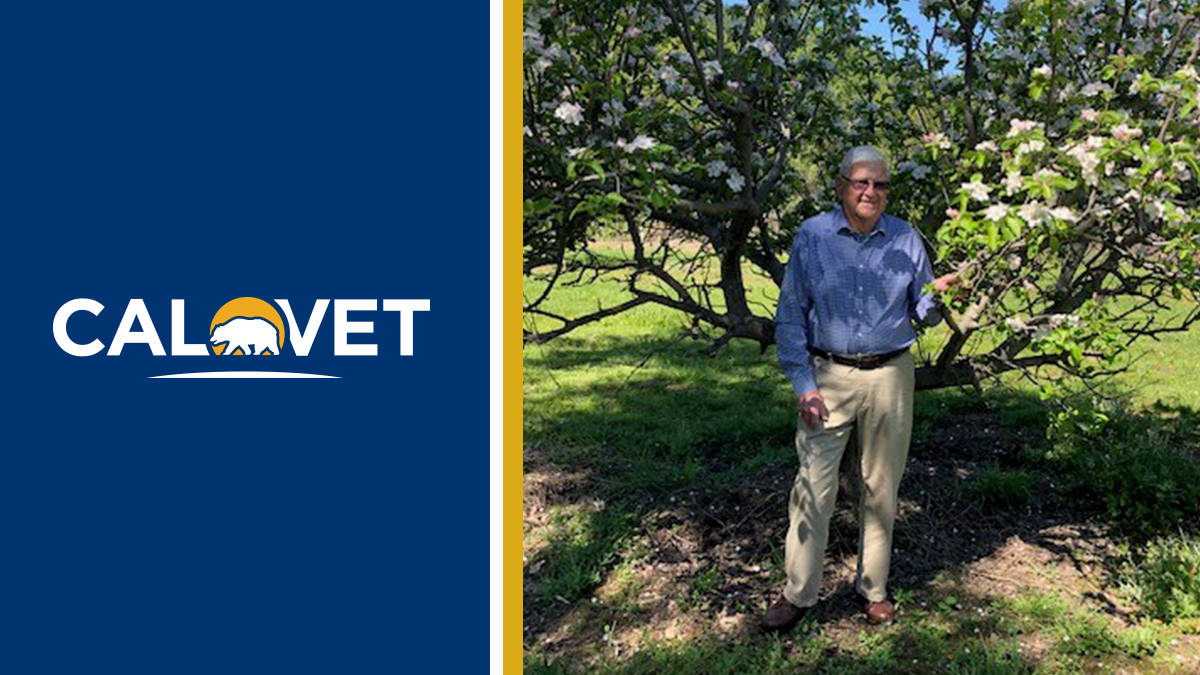 CalVet logo and image of man standing outside in front of apple tree.